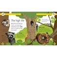 thumbnail image 3 of Forest Life and Woodland Creatures: Full of Fun Facts and Activities, 3 of 4