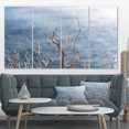 thumbnail image 1 of Leafless Winter Branches - Landscape Canvas Art Print, 1 of 4