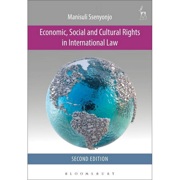Economic, Social and Cultural Rights in International Law, (Paperback)