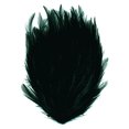 thumbnail image 1 of ZUCKER™ Dyed Hackle Feather Pads - 5" x 7.5" - 12pcs - Black, 1 of 1