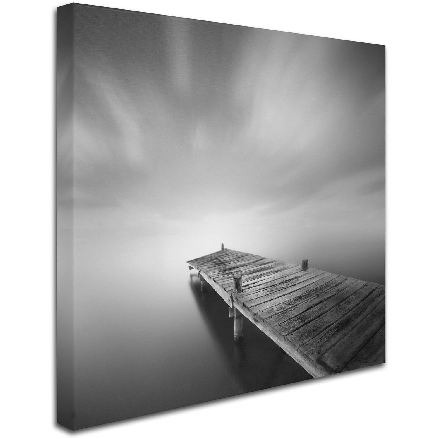 Trademark Fine Art "Destiny IVb" Canvas Art by Moises Levy