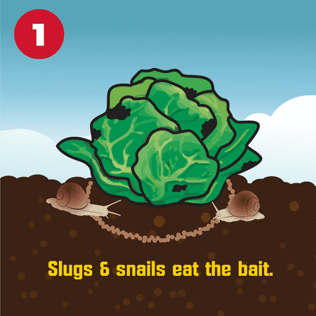 Corry's Slug and Snail Killer, Ready-to-Use, 6 lbs.
