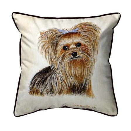 18 x 18 in. Gabby Large Indoor & Outdoor Pillow