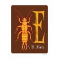 thumbnail image 3 of Marrott, Stephanie 12x14 Black Modern Framed Museum Art Print Titled - E is For Earwig, 3 of 5
