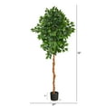 thumbnail image 3 of Nearly Natural 6' Ficus Artificial Tree, 3 of 5