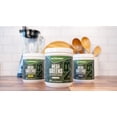 thumbnail image 2 of NutraBio Mega Greens- Complete Daily Super Greens Powder Superfood- Alkalizing, Energy, and Metabolic Support, Digestive Enzymes, Adaptogenic Mushrooms, Immune Defense - 30 Servings- Citrus, 2 of 9