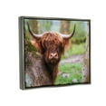 thumbnail image 5 of Stupell Industries Highland Cattle Peering Between Trees Lush Nature Scene Photograph Luster Gray Floating Framed Canvas Print Wall Art, Design by James Dobson, 5 of 5