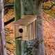 thumbnail image 3 of Casa para pájaros, caja para pájaros al aire libre, casa para pájaros azul, caja para pájaros colgante de madera para observación de aves, jardín y, 3 of 7