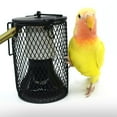 thumbnail image 4 of SKISUNO Lampshade for Reptiles Protection Metal Black Compact Design 1 Set, 4 of 6
