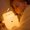 Bear Lamp, variant on BARMOTU Cute Panda Night Light, LED adorable animal-shaped night light, 3-level adjustable night light, suitable for bedroom decoration, cool birthday gift (Panda Pangda)
