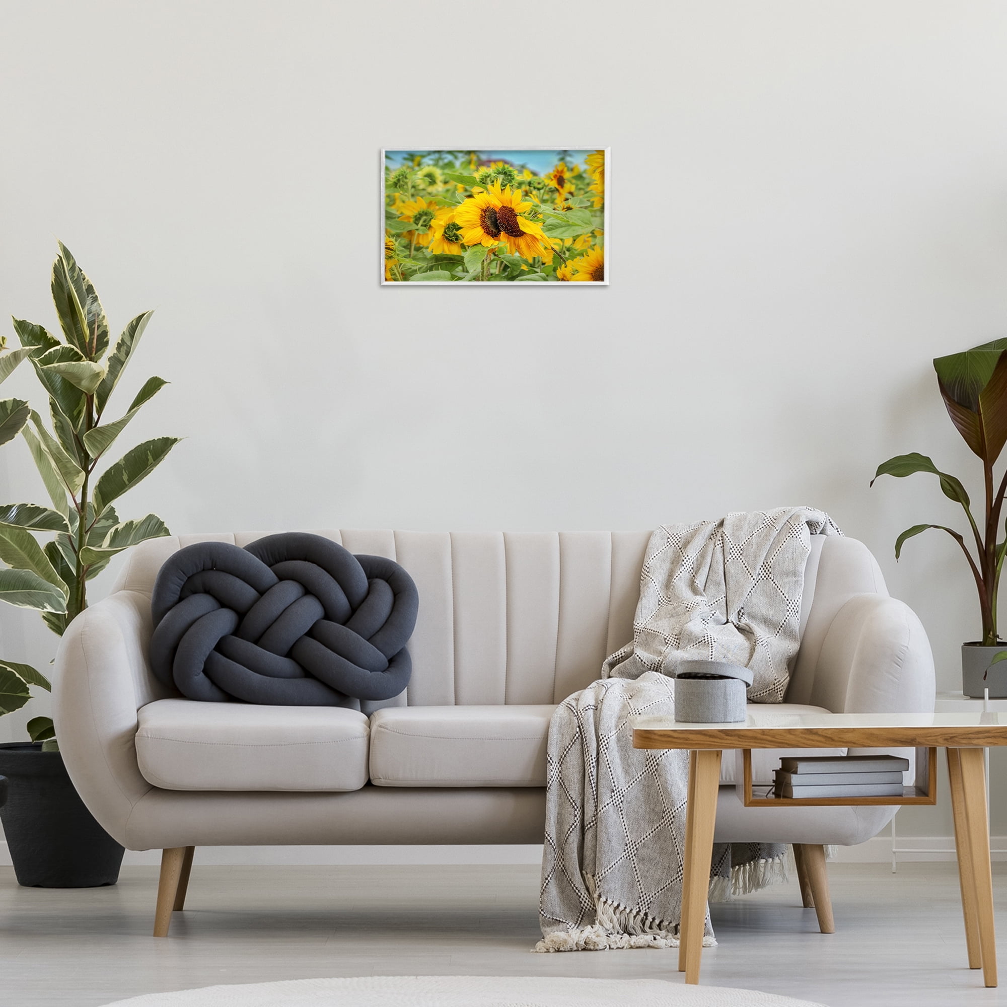 Stupell Industries Sunflower Field Photography Landscape Photography White Framed Art Print Wall Art, 18 x 12