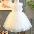 thumbnail image 3 of Edvintorg 2T-7T Kids Dresses for Girls White Sleeveless Wedding Dress Embroidery Tulle Party Pageant Princess Dresses, 3 of 7
