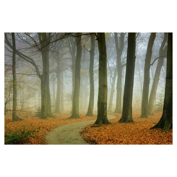 Masterpiece Art Gallery Misty Twisty Autumn Forest by Lars Van de Goor Canvas Photo Art Print 24" x 36"