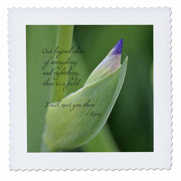 3dRose Out Beyond Ideas Rumi Quote Wisdom Inspirational Iris