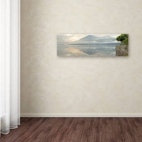 Trademark Fine Art "Morning Fog" Canvas Art by Alan Blaustein