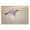 Egret Gliding Aerial, variant on Stupell Industries Cottage Grey Heron Portrait Canvas Art, 40 x 30, by Grace Popp