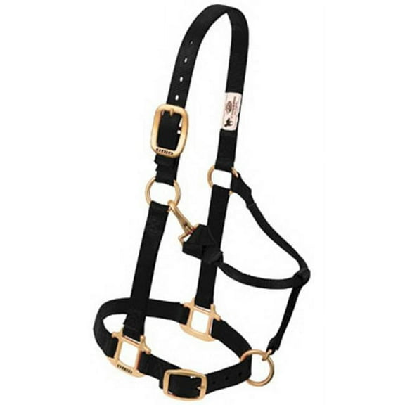 35-7036-BK 1 in. Large Adjustable Chin & Throat Snap Halter - Black