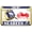 Gold, variant on [Officially Licensed Product] - Motorcycle Domed Custom-Made Personalized Metal License Plate Frame Frame with U.S. Navy Seabees Naval Construction Battalions Design - Gold