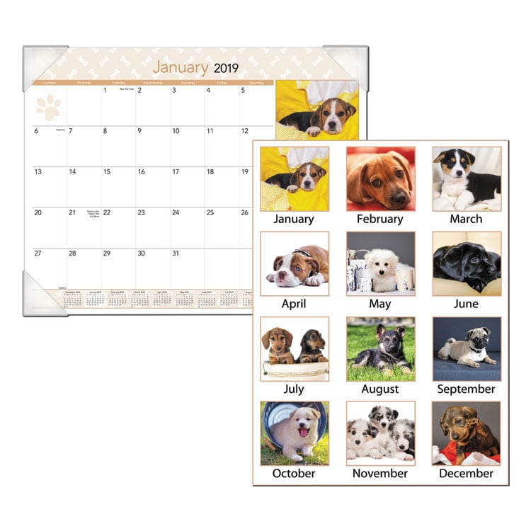 PUPPIES MONTHLY DESK PAD CALENDAR, 22 X 17, 2019