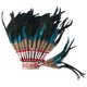 thumbnail image 5 of Tocado de plumas de jefe nativo americano para fiesta temática de baile o espectáculo Azul, 5 of 9
