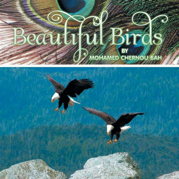 Beautiful Birds (Paperback)