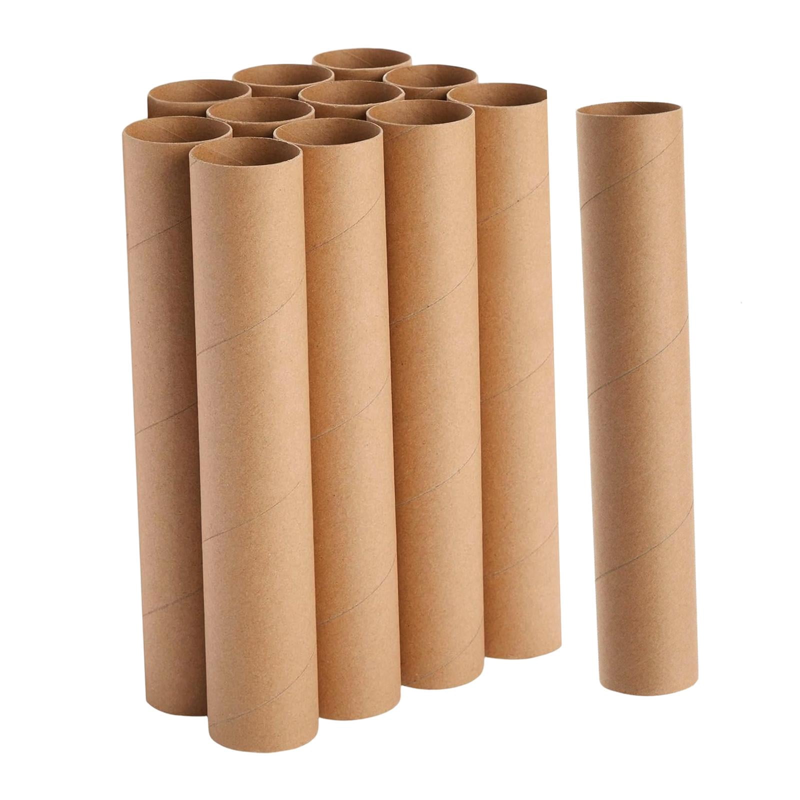 FVDPWYE 12 Pieces Cardboard Tubes Paper Towel Tubes for Family DIY Projects Handmade 30cm