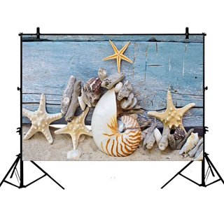 ABPHOTO Polyester 7x5ft Sand Beach Backdrop Seaside Backdrops Starfish  Shells Fishing Net Shabby Stripes Wood Board Ocean Sailing Photography  Background for Girls Boys Summer Photo Studio Props 