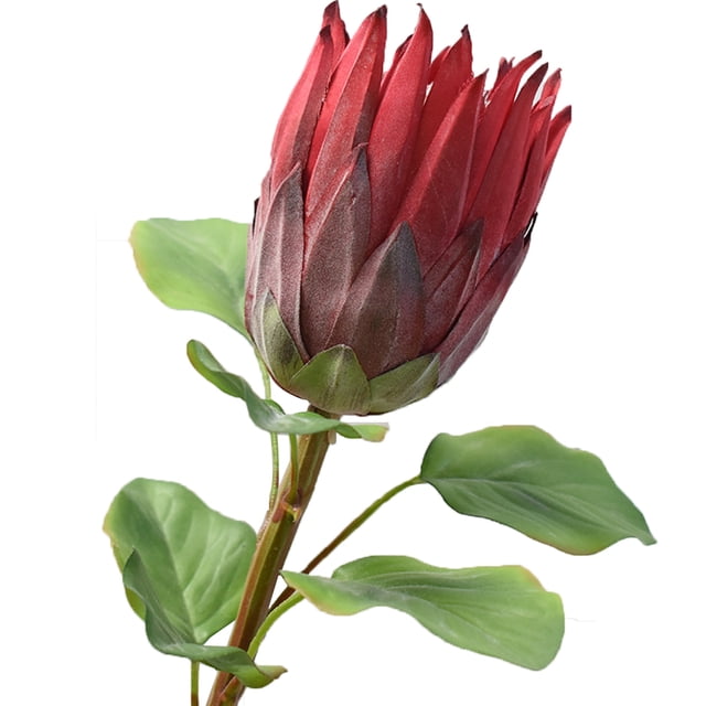 Coofit Artificial Flower Lifelike Protea Flower Arrangement Vase Flower for Wedding