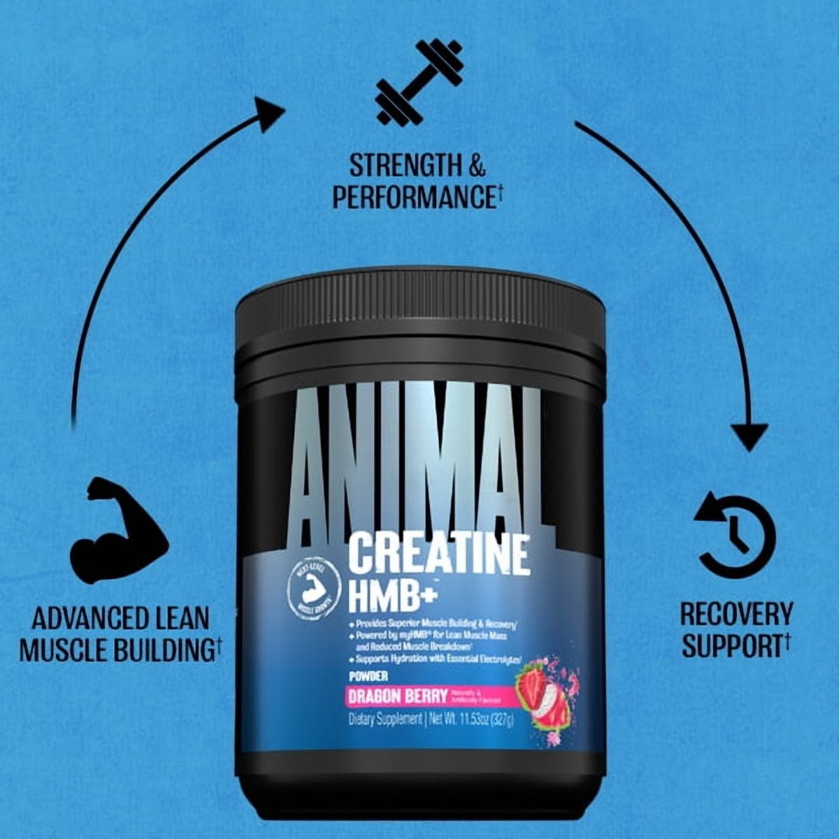 Animal Creatine HMB Powder – 5g Creatine + 3g myHMB with Electrolytes for Lean Muscle, Recovery & Daily Energy – Dragon Berry Flavor, 30 Servings