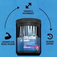 thumbnail image 6 of Animal Creatine HMB Powder – 5g Creatine + 3g myHMB with Electrolytes for Lean Muscle, Recovery & Daily Energy – Dragon Berry Flavor, 30 Servings, 6 of 6