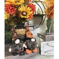 thumbnail image 6 of ABN5D014-ORNGBLK 9" witch Gnome Plush, Set of 2 Home Decor, 6 of 7