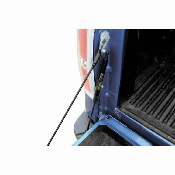 DZ43207 Truck Tailgate Assist for 2022 Ford Maverick