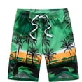 thumbnail image 2 of Ropa de playa para hombre, pantalones cortos con estampado, secado rápido, bañador deportivo, M - 6XL Fivean unisex, 2 of 2