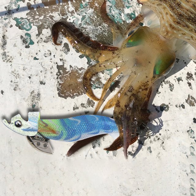 Cebos Plomo Ligero Calamar Señuelo Plomo Aparejos de pesca al aire libre (Blanco 15 g) Tmvgtek Para Estrenar