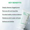 thumbnail image 3 of Limpiador en espuma innisfree Green Tea Hidratante 150 g, 3 of 6