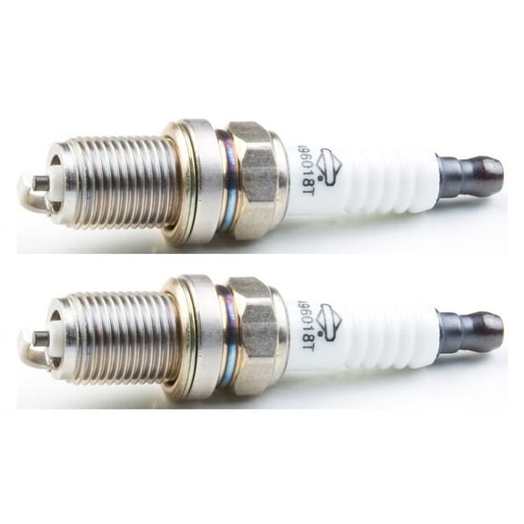 Briggs and Stratton 2PK Spark Plug Replaces 496018/189506/189506GS # 496018S-2PK