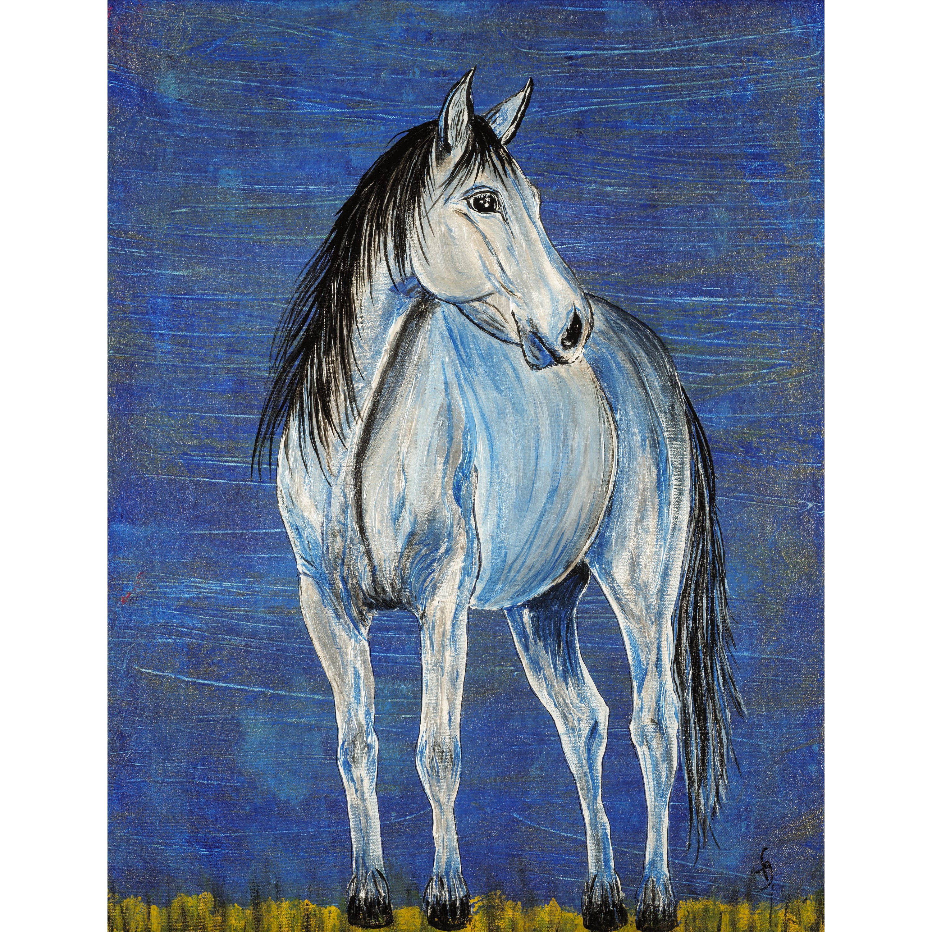 "Blue Note Appaloosa Horse" Painting Print on Wrapped Canvas