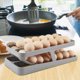 thumbnail image 3 of Soporte para Huevos para Refrigerador Contenedor de Almacenamiento de Huevos Práctico Acceso a Huevos Plástico 36 Soportes para Huevos Organizador de Nevera para Huevos de 2, 3 of 8