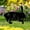 B, variant on Easter Decorations Outdoor - Bunny Garden Statues Large Rabbit Yard Art Outdoor Black Rabbit Decor Silhouett Animals Stake Garden Decorations Outdoor Garden Statue for Lawn and Yard Decor Ornaments