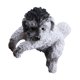 thumbnail image 1 of Decoración de adornos artesanales Sunnimix micro paisaje perro, 1 of 8