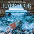 thumbnail image 1 of Terre-Neuve et Labrador 2026 Mini 7x7 Wyman, 1 of 3