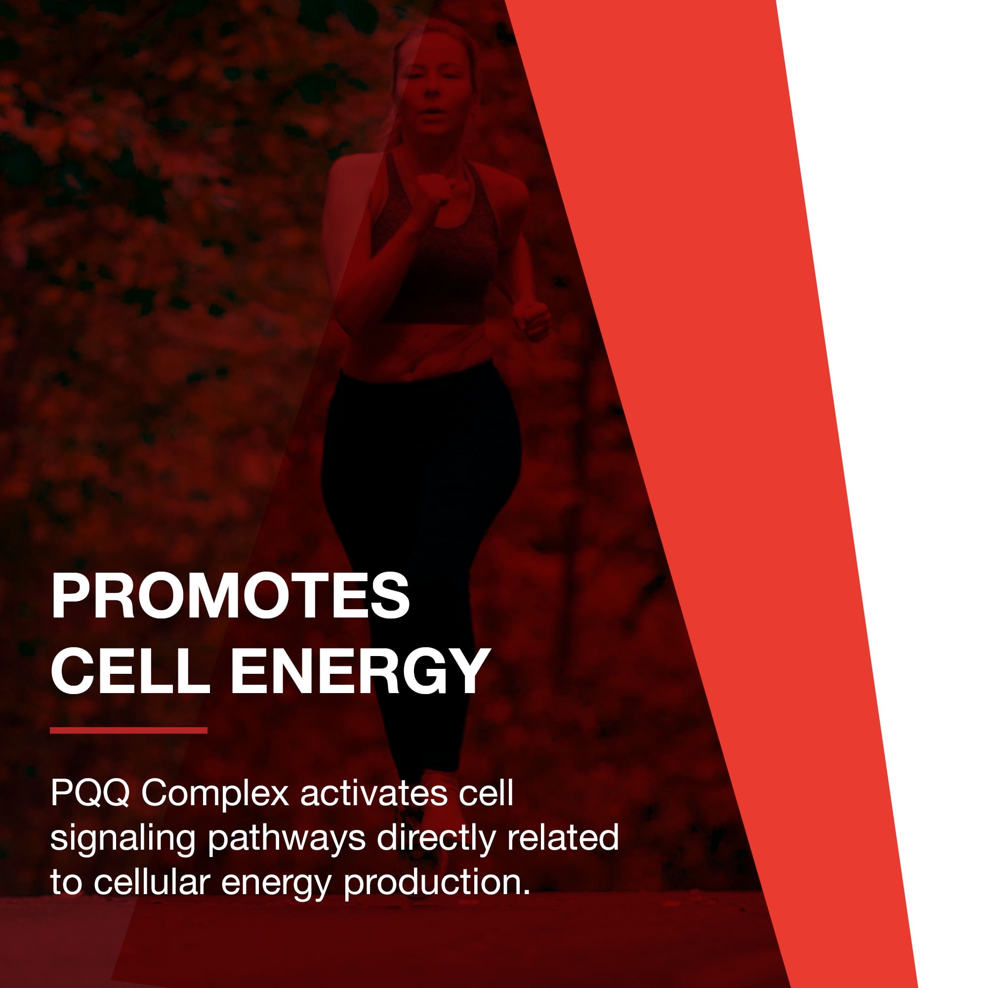 Protocol PQQ Complex - CoQ10, Acetyl-L-Carnitine, Nigeria | Ubuy
