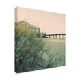 thumbnail image 2 of Trademark Fine Art 'Summer of 76 III' Canvas Art by Alicia Ludwig, 2 of 4