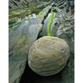 thumbnail image 2 of Terrill, Steve 26x32 White Modern Wood Framed Museum Art Print Titled - Oregon, Shore Acres SP Smooth sandstone boulder, 2 of 4