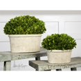 thumbnail image 3 of Uttermost 2-Piece Ceramic Oval Dome Preserved Boxwood Set in Mossy Green, 3 of 3