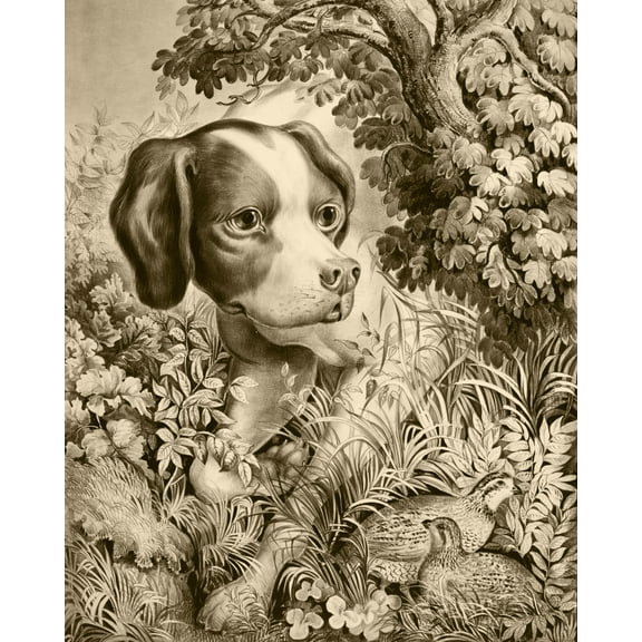 Print: Pointing A Bevy, 1866