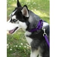 thumbnail image 3 of HSHDLDF Collier pour Chien en Nylon Robuste Martingale - Violet Très Grand, 3 of 7