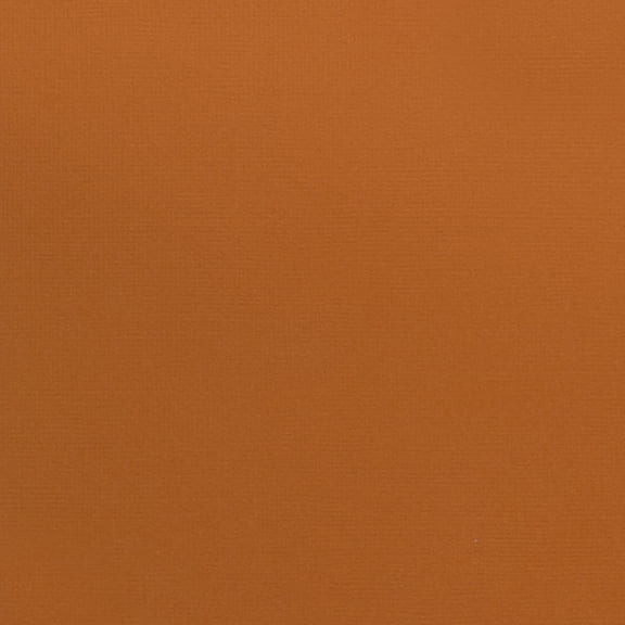 American Crafts 80lb Textured Cardstock 12"X12"-Apricot