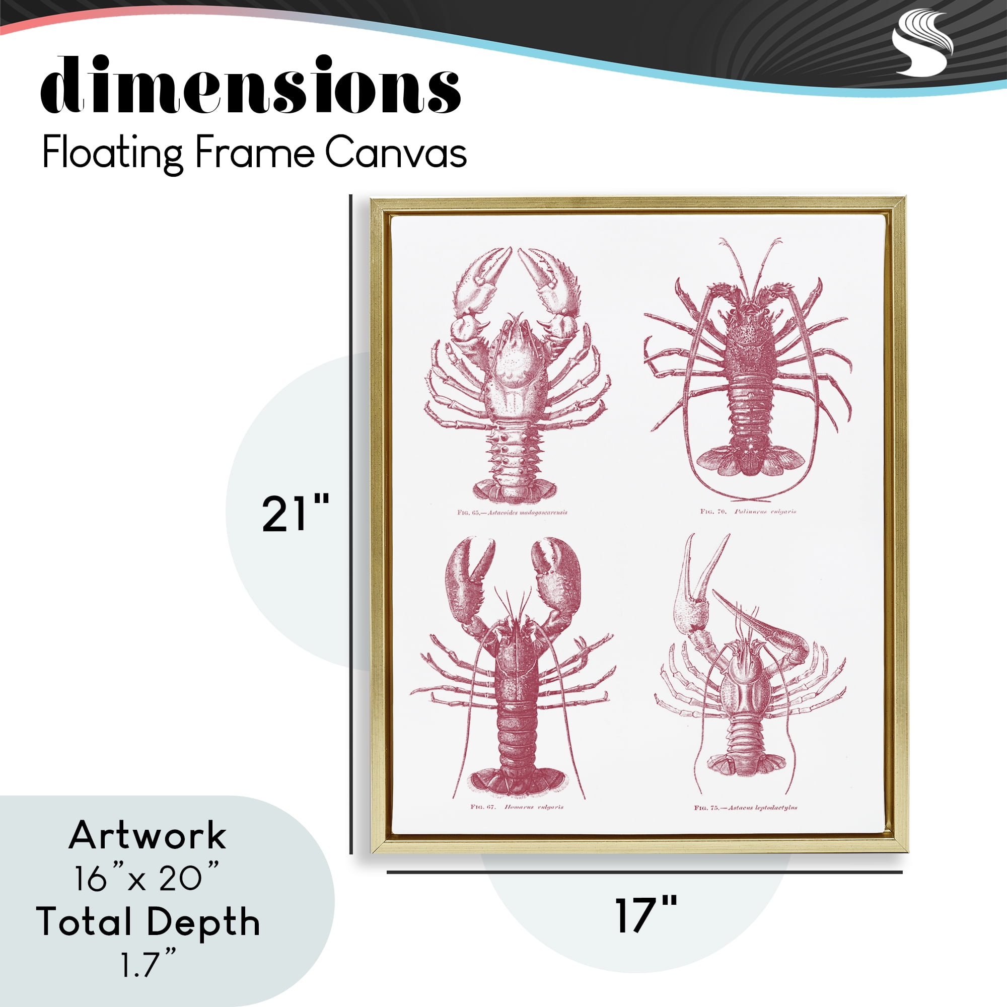 Timeless Lobsters Species Gold Framed Floater Canvas Wall Art, design by Lettered and Lined