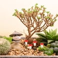 thumbnail image 6 of LABSERRON Mushroom 100Pcs Small Garden Mushroom Decorations for House and Party, 6 of 8